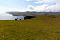 Froðba