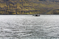 Vestmannabjørgini