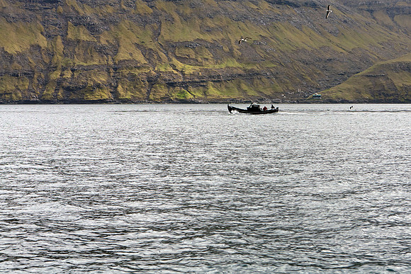 Vestmannabjørgini