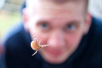 Edvard Vang og en edderkop i Hareskoven. Edvard and a spider in  Hare forest