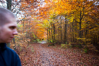 Hareskoven i efterårs farver. Hare forest in autumn colors