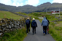Viðareiði