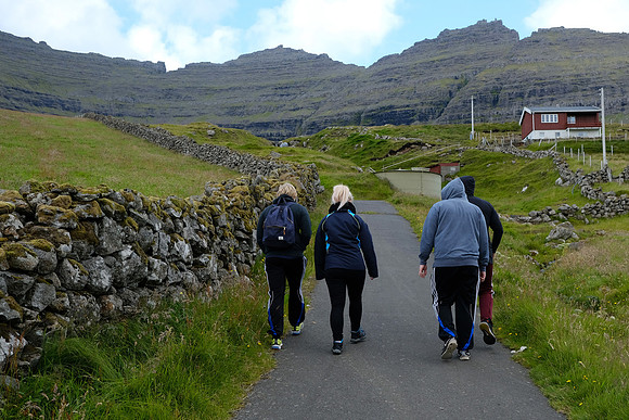 Viðareiði