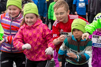 Flaggdagsrenning 2015