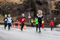 Flaggdagsrenning 2015