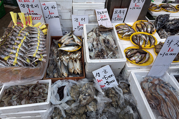 korea seoul