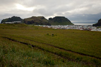 Vestmannaeyjar