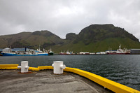 harbor in Vestmannaeyjar