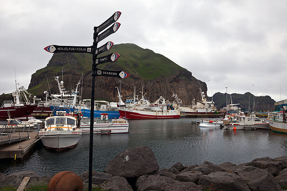 harbor in Vestmannaeyjar