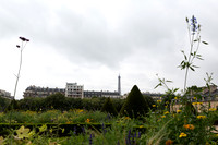 Eiffel Tower, Paris